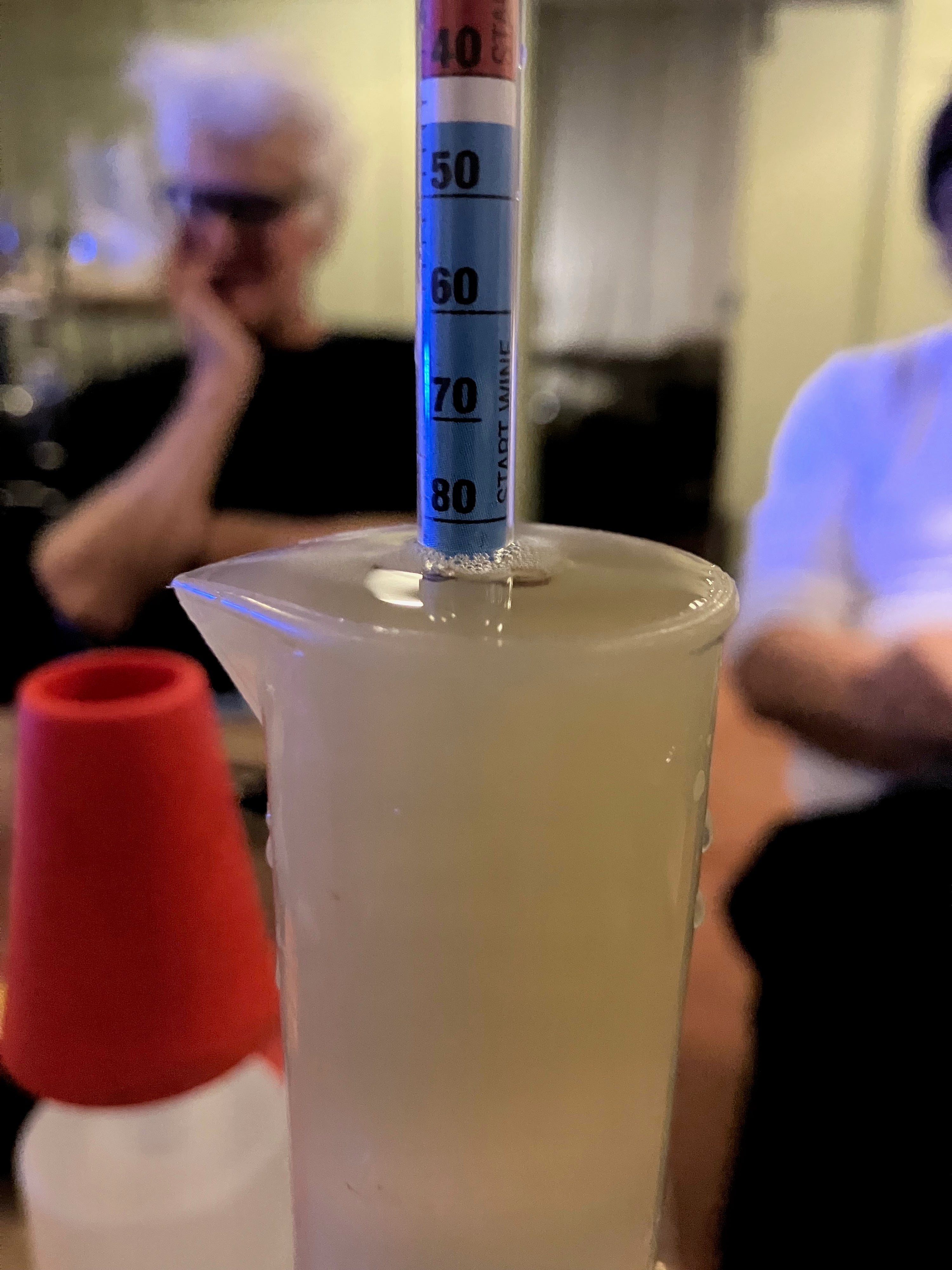 PET NAT MAKING WORKSHOP - 4-6PM SAT 25/4/26