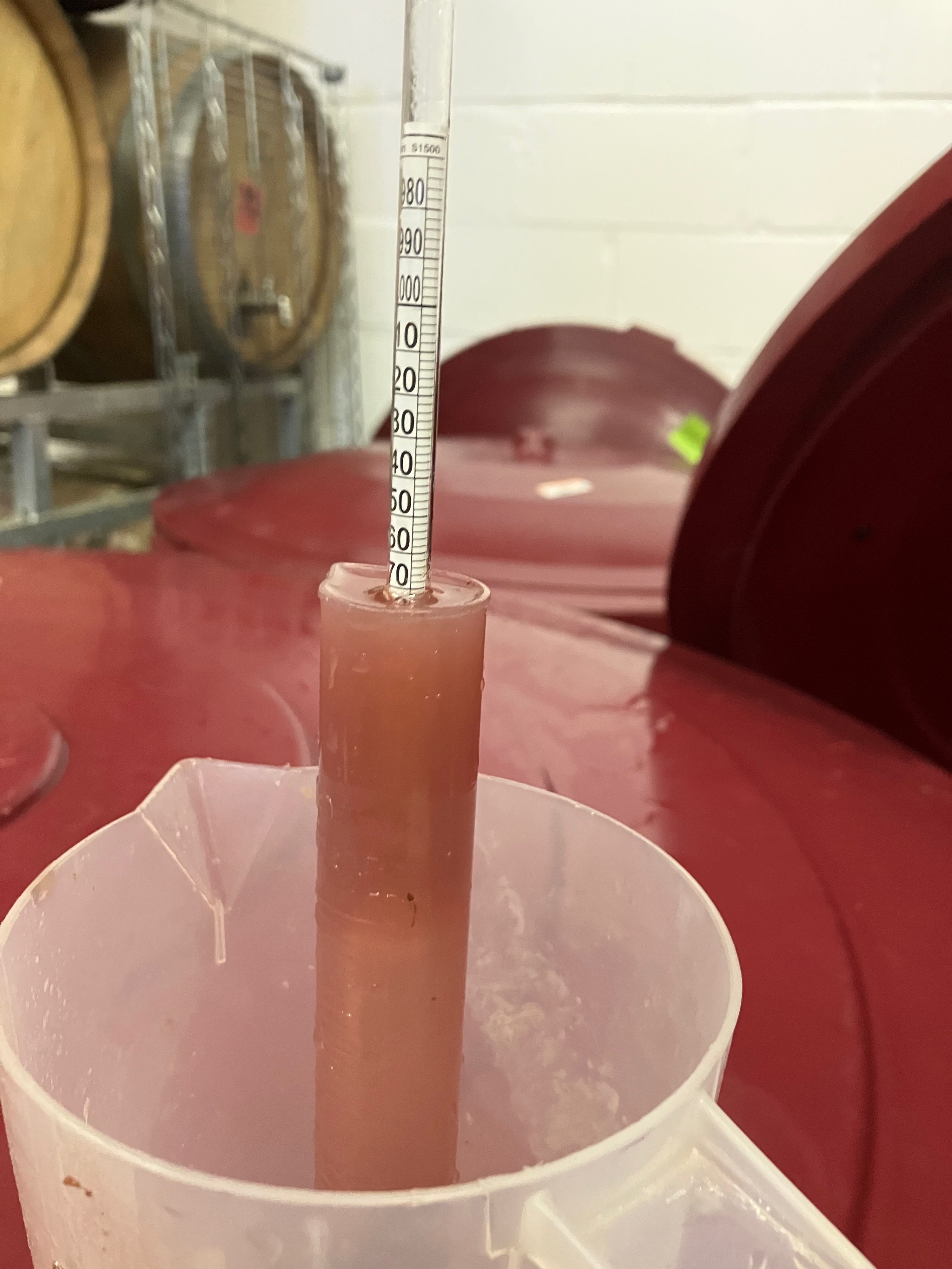 PET NAT MAKING WORKSHOP - 4-6PM SAT 25/4/26