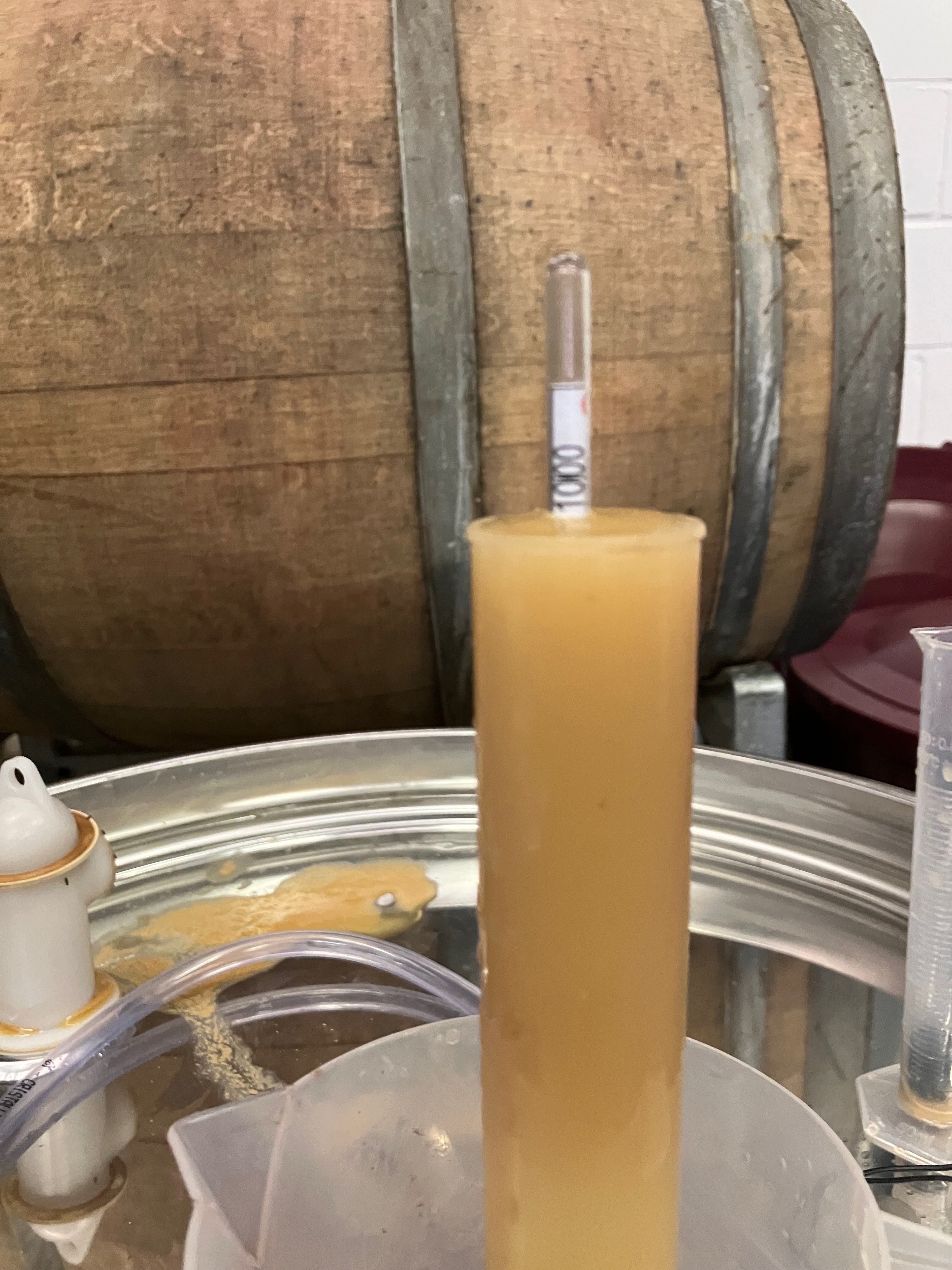 PET NAT MAKING WORKSHOP - 4-6PM SAT 25/4/26