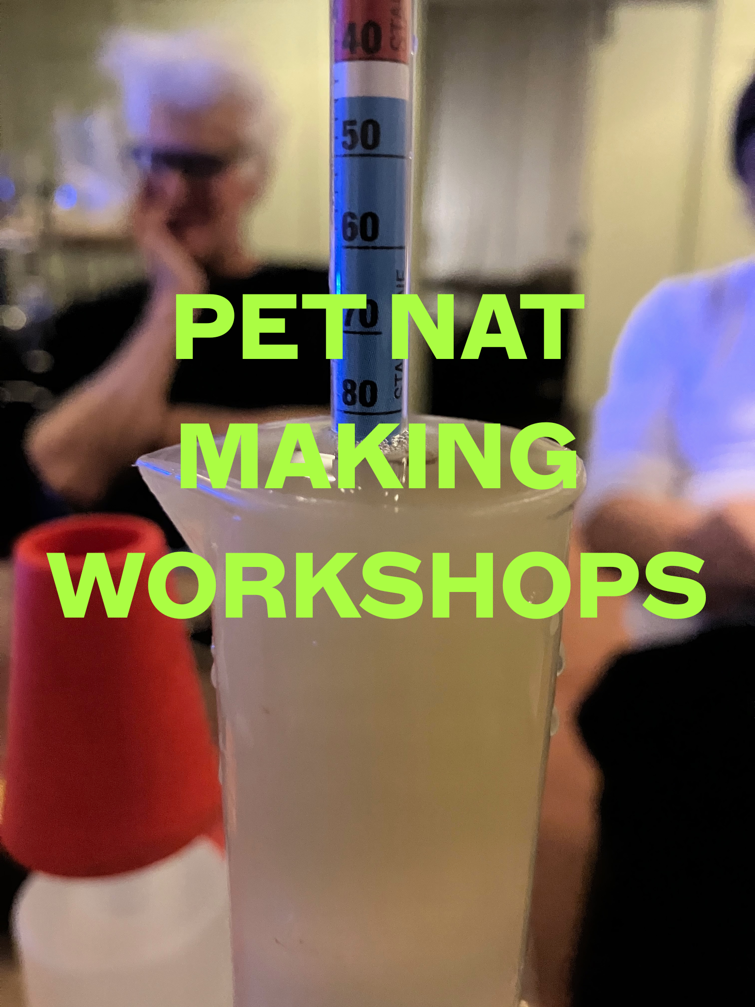 PET NAT MAKING WORKSHOP - 4-6PM SAT 31/1/26