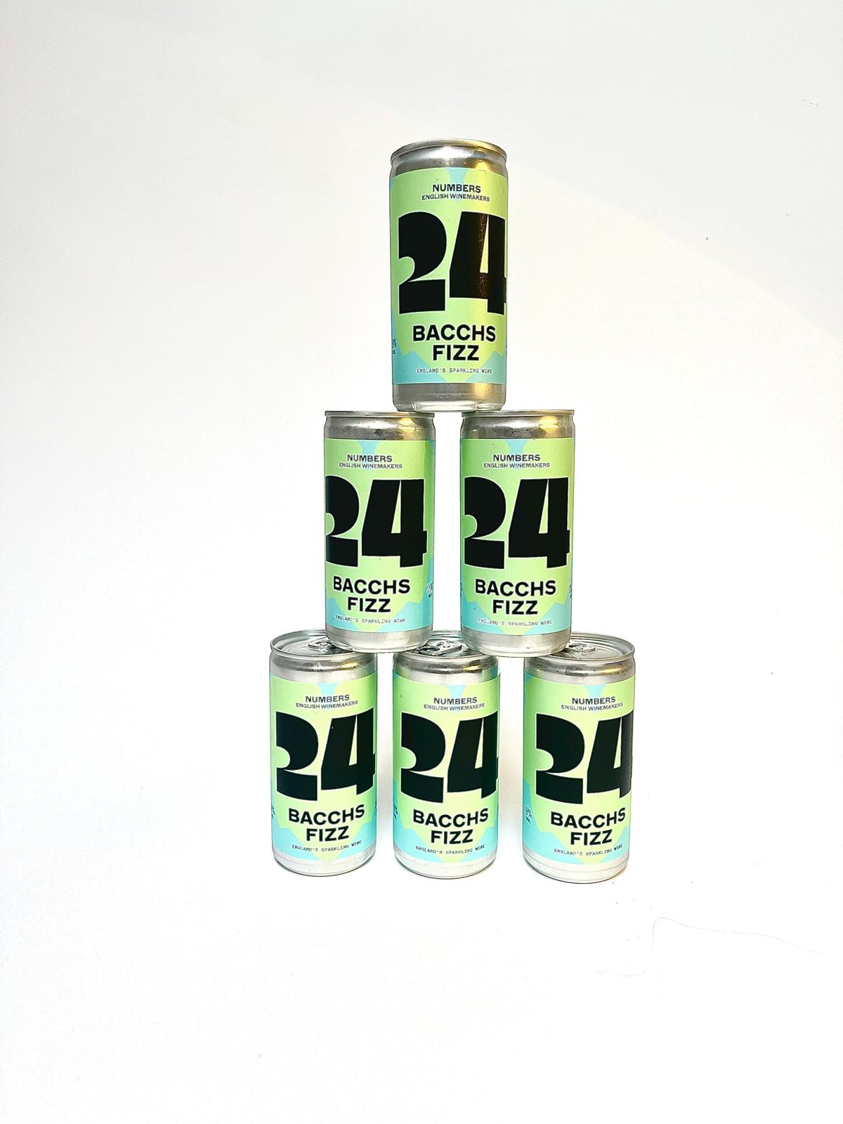 BACCHS FIZZ CAN 200ML
